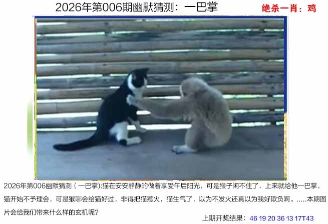 006期幽默猜测[图]