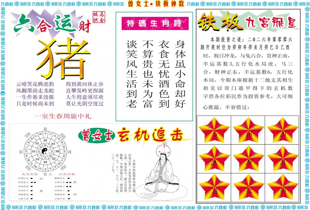 006期曾女士铁板神数B[图]