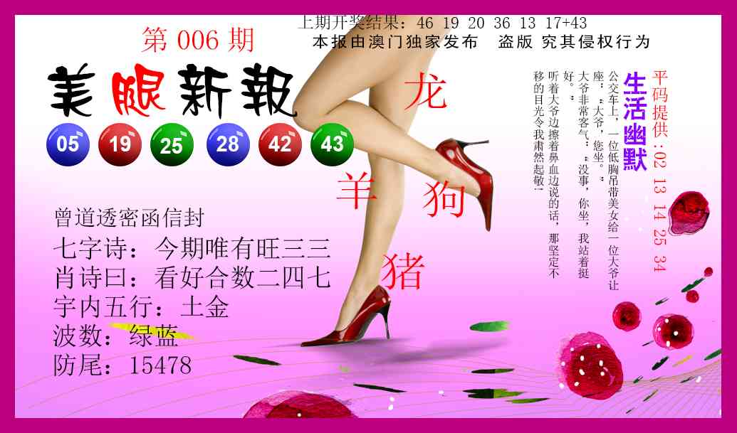 006期美腿新报[图]