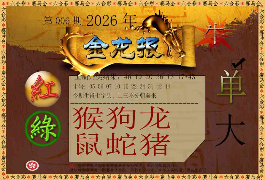 006期金龙报[图]