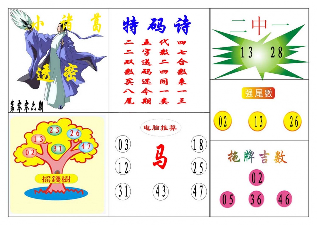 006期小诸葛[图]