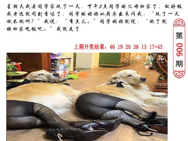 006期澳门生活幽默[图]