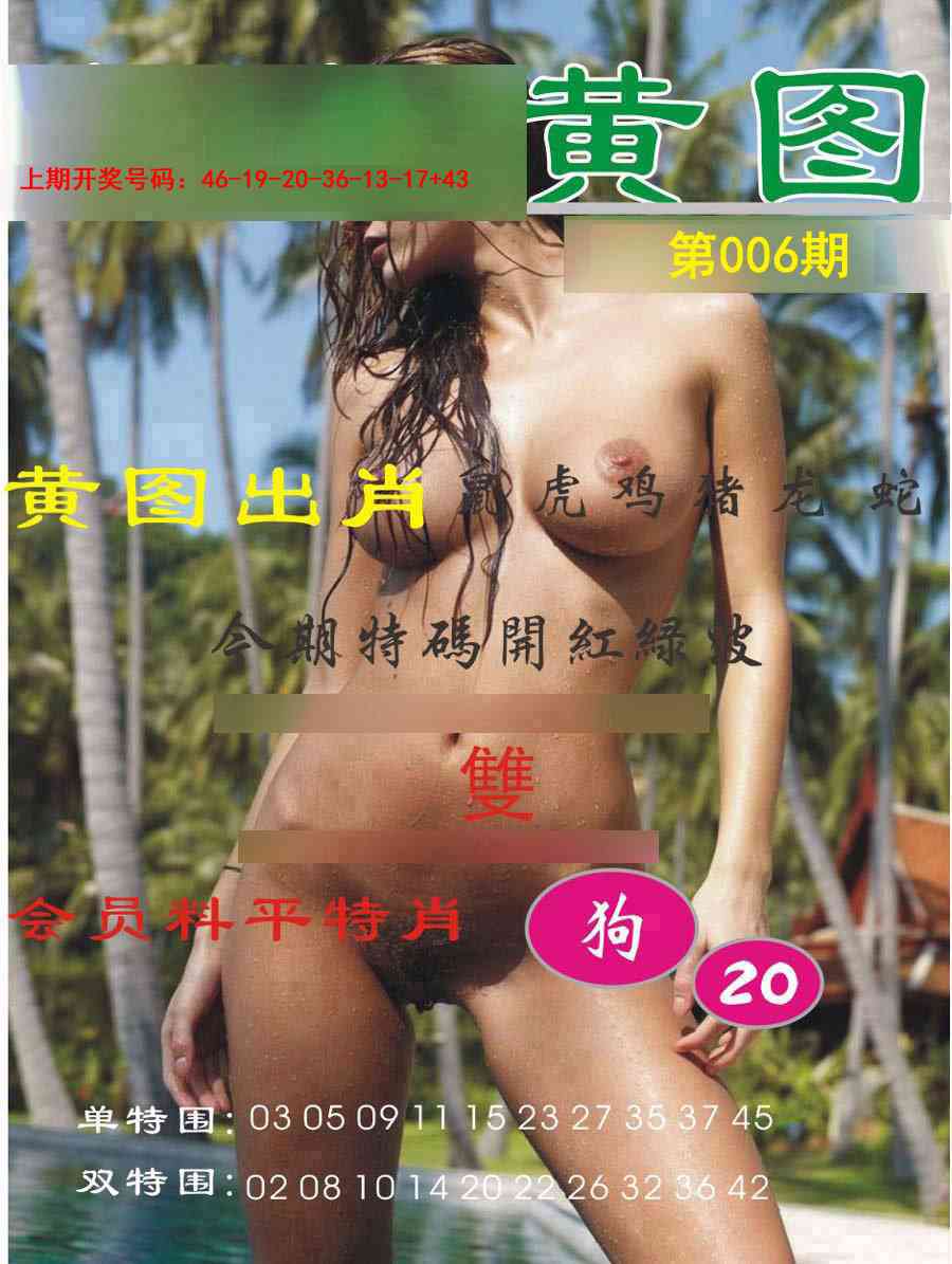 006期黄图[图]