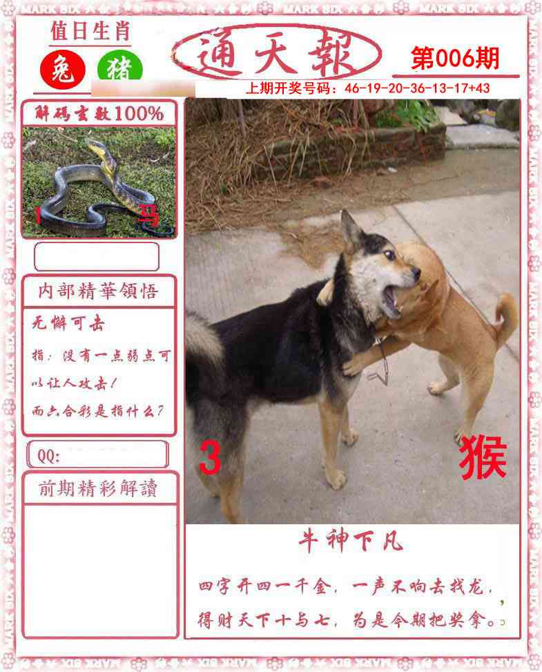 006期正版通天报[图]