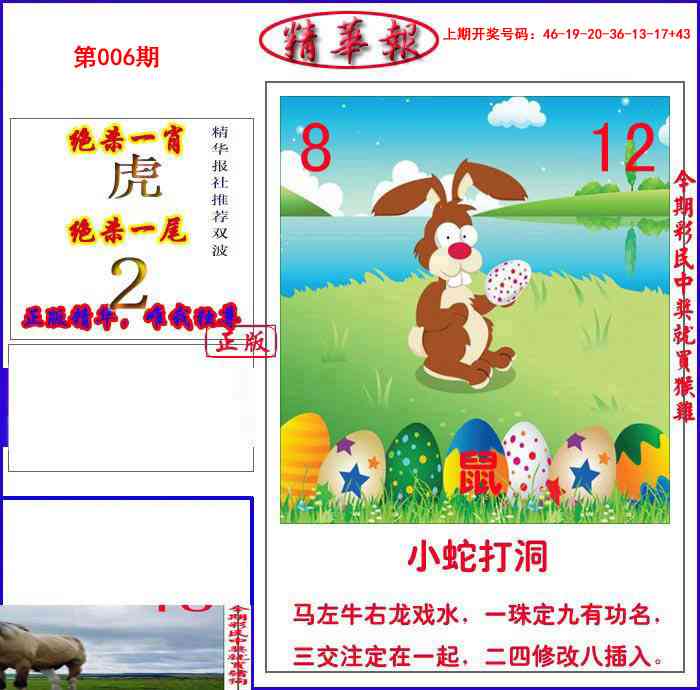 006期新精华报报[图]