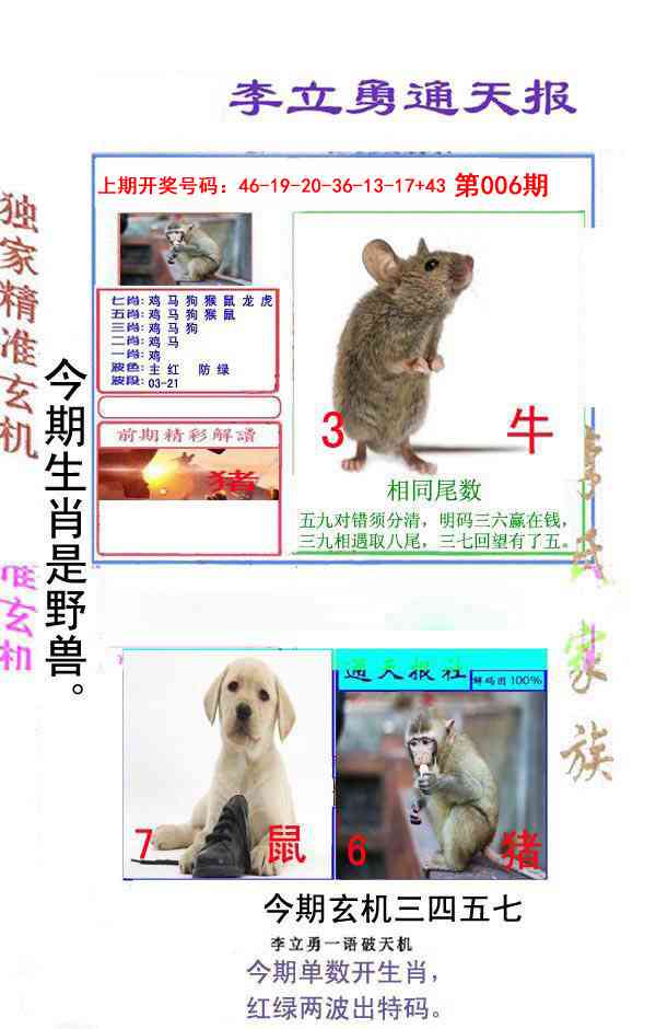 006期李立勇通天报[图]