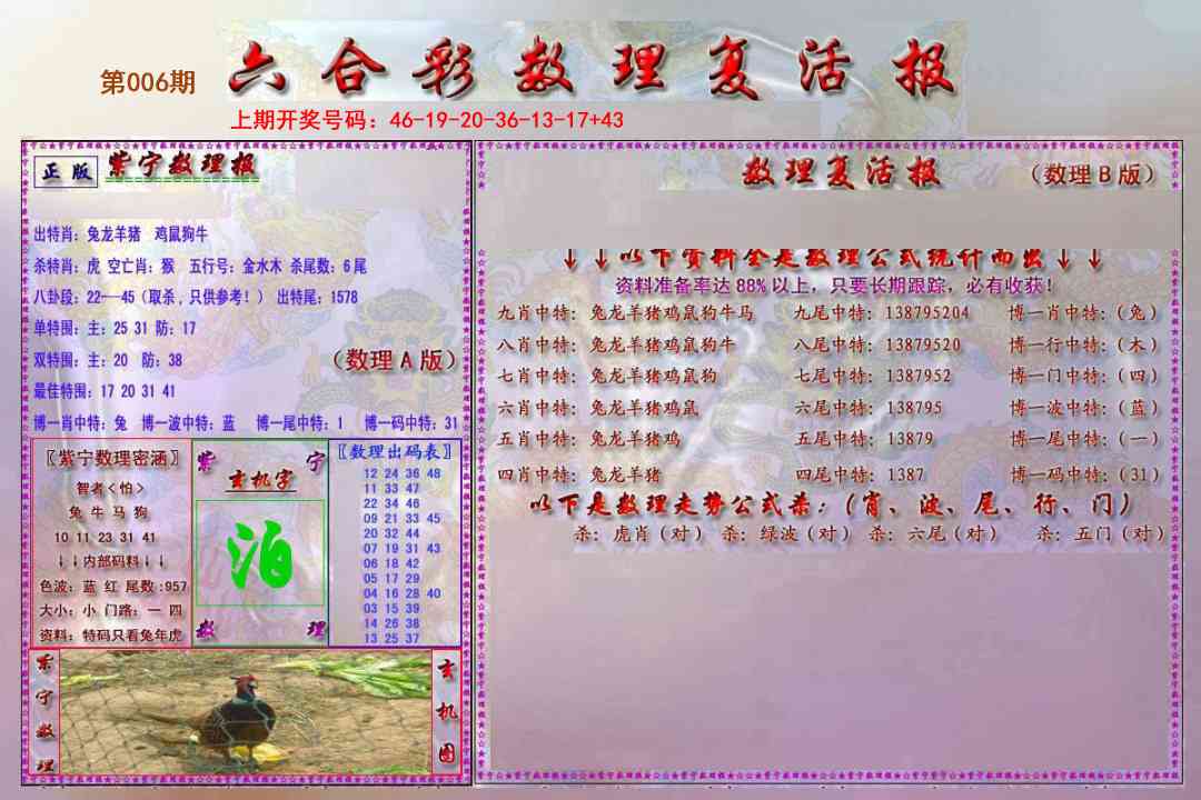 006期数理复活报[图]