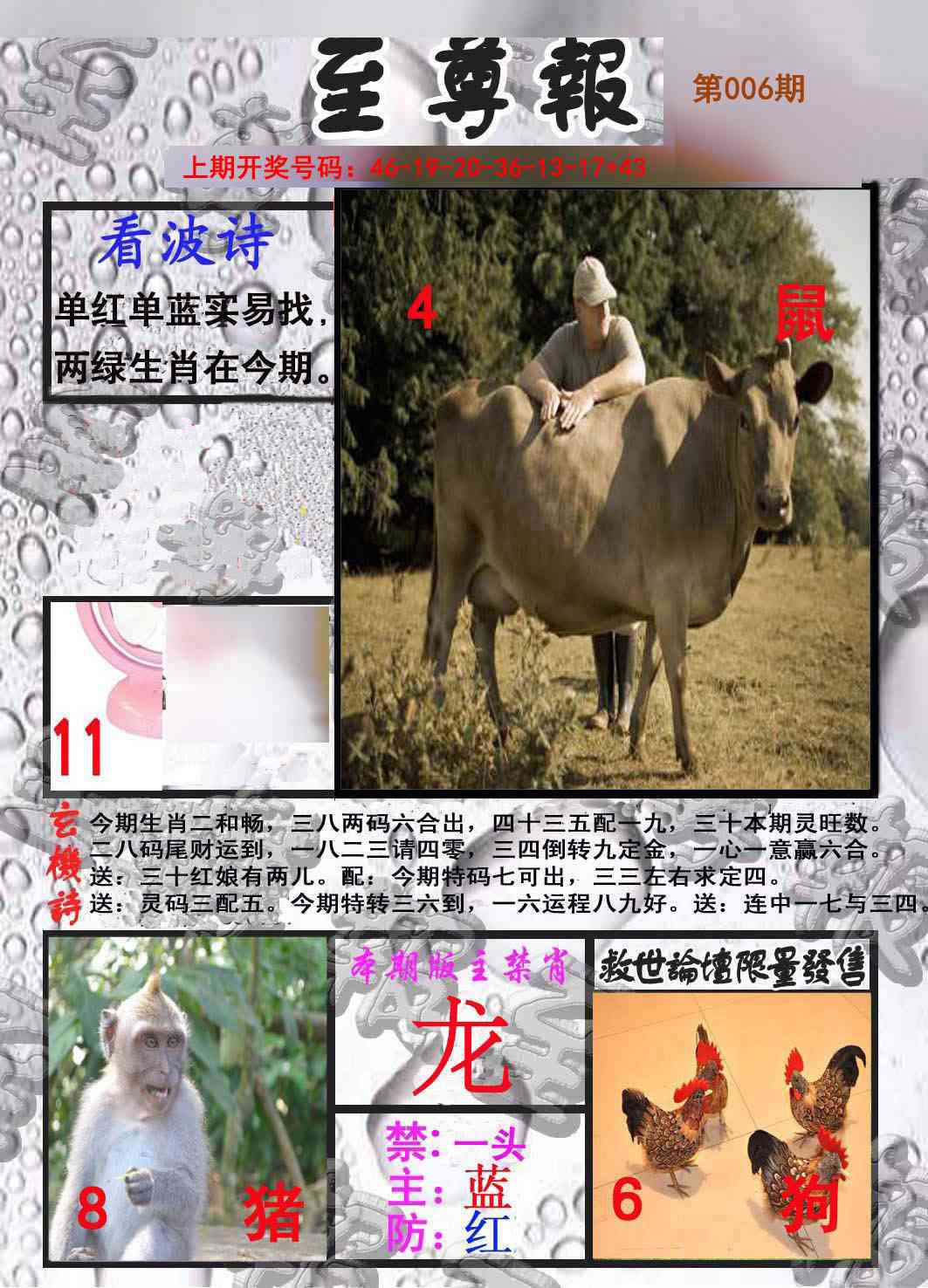 006期至尊报[图]