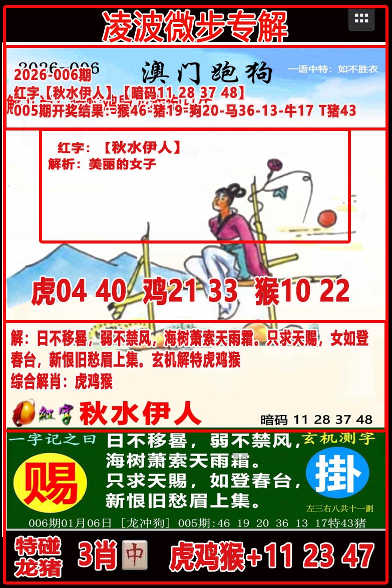 006期凌波微步[图]