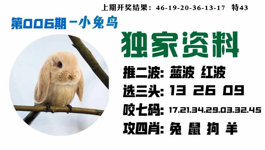 006期小兔鸟[图]